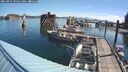 ./images/quadra/hbidock/20250801/hbidock20250801_094011M.jpg