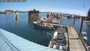 ./images/quadra/hbidock/20250801/hbidock20250801_104010M.jpg