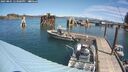 ./images/quadra/hbidock/20250801/hbidock20250801_123000M.jpg