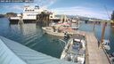 ./images/quadra/hbidock/20250801/hbidock20250801_154009M.jpg