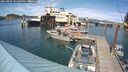 ./images/quadra/hbidock/20250801/hbidock20250801_154500M.jpg
