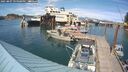 ./images/quadra/hbidock/20250801/hbidock20250801_155000M.jpg
