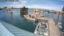 ./images/quadra/hbidock/20250801/hbidock20250801_160011M.jpg