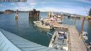 ./images/quadra/hbidock/20250801/hbidock20250801_160508M.jpg