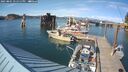 ./images/quadra/hbidock/20250801/hbidock20250801_171511M.jpg