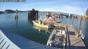 ./images/quadra/hbidock/20250801/hbidock20250801_183500M.jpg