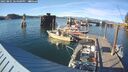 ./images/quadra/hbidock/20250801/hbidock20250801_184000M.jpg