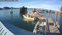 ./images/quadra/hbidock/20250801/hbidock20250801_184010M.jpg
