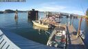 ./images/quadra/hbidock/20250801/hbidock20250801_190000M.jpg