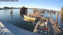 ./images/quadra/hbidock/20250801/hbidock20250801_195509M.jpg