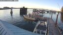 ./images/quadra/hbidock/20250801/hbidock20250801_202500M.jpg