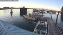 ./images/quadra/hbidock/20250801/hbidock20250801_203508M.jpg