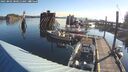 ./images/quadra/hbidock/20250802/hbidock20250802_080012M.jpg