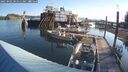 ./images/quadra/hbidock/20250802/hbidock20250802_081511M.jpg