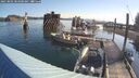 ./images/quadra/hbidock/20250802/hbidock20250802_083500M.jpg