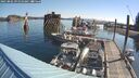 ./images/quadra/hbidock/20250802/hbidock20250802_091010M.jpg