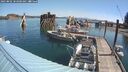 ./images/quadra/hbidock/20250802/hbidock20250802_103500M.jpg