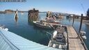 ./images/quadra/hbidock/20250802/hbidock20250802_104011M.jpg