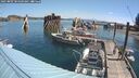 ./images/quadra/hbidock/20250802/hbidock20250802_104509M.jpg