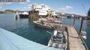 ./images/quadra/hbidock/20250802/hbidock20250802_115500M.jpg