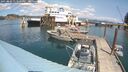 ./images/quadra/hbidock/20250802/hbidock20250802_133500M.jpg