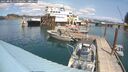 ./images/quadra/hbidock/20250802/hbidock20250802_134000M.jpg