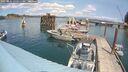./images/quadra/hbidock/20250802/hbidock20250802_135011M.jpg
