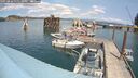 ./images/quadra/hbidock/20250802/hbidock20250802_135511M.jpg