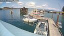 ./images/quadra/hbidock/20250802/hbidock20250802_143500M.jpg