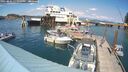 ./images/quadra/hbidock/20250802/hbidock20250802_151010M.jpg