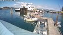 ./images/quadra/hbidock/20250802/hbidock20250802_152511M.jpg