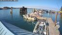 ./images/quadra/hbidock/20250802/hbidock20250802_173011M.jpg
