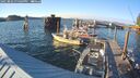 ./images/quadra/hbidock/20250802/hbidock20250802_194509M.jpg
