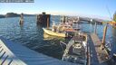 ./images/quadra/hbidock/20250802/hbidock20250802_195000M.jpg
