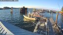 ./images/quadra/hbidock/20250802/hbidock20250802_195509M.jpg