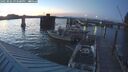 ./images/quadra/hbidock/20250802/hbidock20250802_213500M.jpg