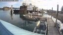 ./images/quadra/hbidock/20250803/hbidock20250803_082500M.jpg