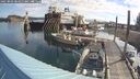 ./images/quadra/hbidock/20250803/hbidock20250803_084011M.jpg