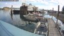 ./images/quadra/hbidock/20250803/hbidock20250803_091510M.jpg