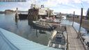 ./images/quadra/hbidock/20250803/hbidock20250803_093500M.jpg