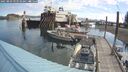 ./images/quadra/hbidock/20250803/hbidock20250803_093510M.jpg