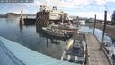 ./images/quadra/hbidock/20250803/hbidock20250803_094010M.jpg
