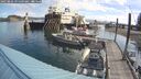 ./images/quadra/hbidock/20250803/hbidock20250803_095000M.jpg