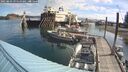 ./images/quadra/hbidock/20250803/hbidock20250803_095510M.jpg