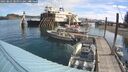 ./images/quadra/hbidock/20250803/hbidock20250803_101011M.jpg