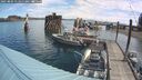 ./images/quadra/hbidock/20250803/hbidock20250803_111010M.jpg