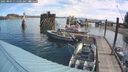 ./images/quadra/hbidock/20250803/hbidock20250803_111500M.jpg