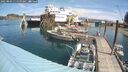 ./images/quadra/hbidock/20250803/hbidock20250803_115510M.jpg