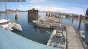 ./images/quadra/hbidock/20250803/hbidock20250803_121011M.jpg