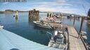 ./images/quadra/hbidock/20250803/hbidock20250803_124000M.jpg